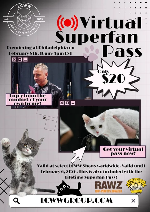 Virtual Superfan Pass (1).jpg