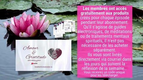 abonnement checkout.png