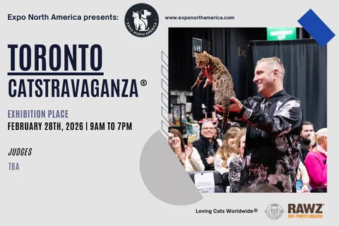 toronto+Catstravaganza.png