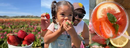 Black and Pink Shapes Facebook Cover (4).png