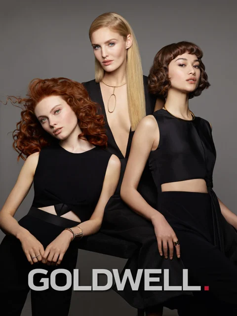 Logo-and-170223_Goldwell_Kerasilk_Group_588-V11-RGB-768x1024.jpg