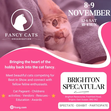 BRIGHTON FLYER.png