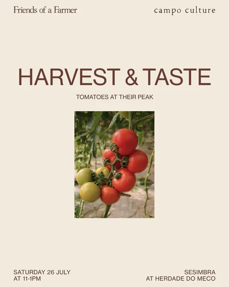 tomato final.jpg