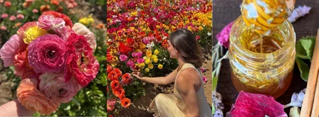 Black and Pink Shapes Facebook Cover (3).png