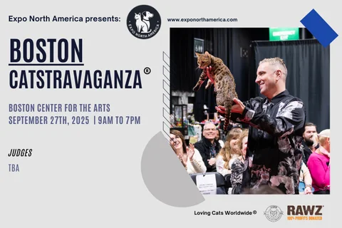 Boston+Catstravaganza.png