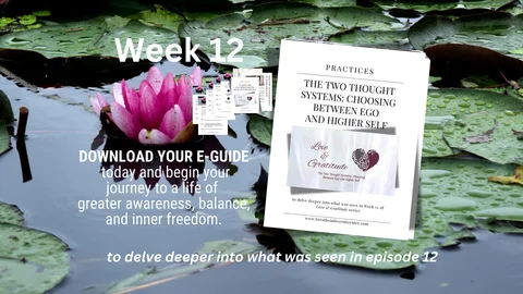 week 12 e-guide on checkoutpage.png