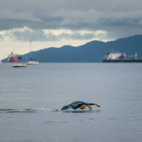 swim.jpg