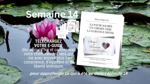 Semaine 14 checkoutpage.png