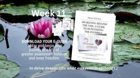 week 11 e-guide checoutpage.png