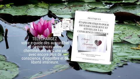 e-guide checkout sem 5.png