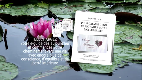 e-guide photo semaine 3 checkoutpage.png