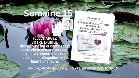 semaine 15 checkoutpage.png
