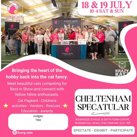 WhatsApp Image 2025-07-31 at 02.05.59_0d80b15b.jpg