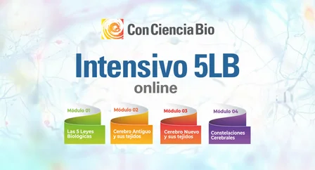 INTENSIVO 5LB.png